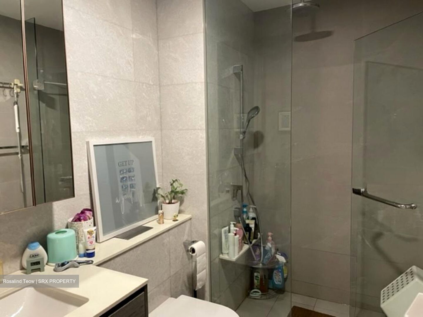 Royalgreen (D10), Condominium #502958201